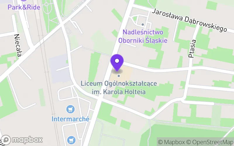 Lokalizacja: Liceum Ogólnokształcące IM Karola Holteia w Obornikach Śląskich