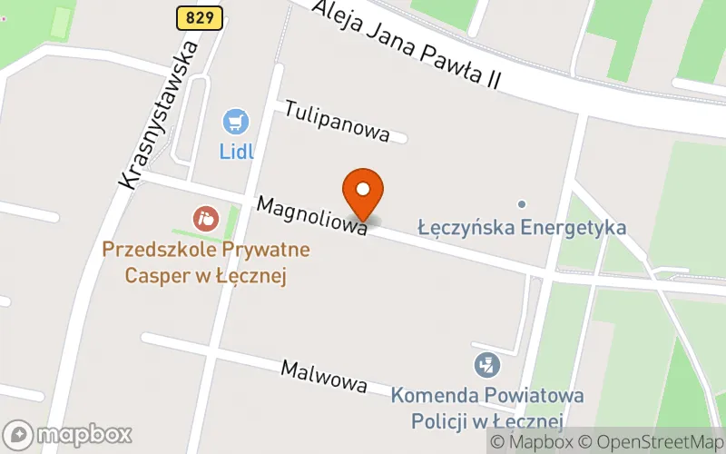 Lokalizacja: Żłobek "CASPER" Kamila Skrzypczyńska