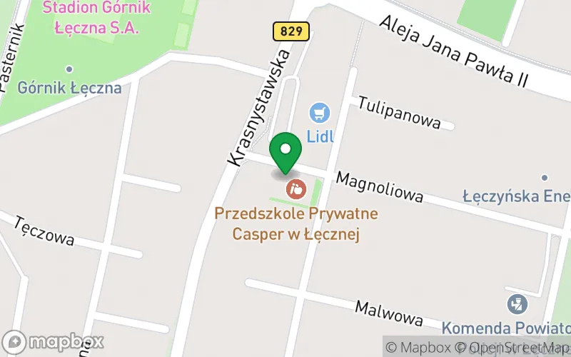 Lokalizacja: Prywatne Przedszkole Integracyjne Casper w Łęcznej