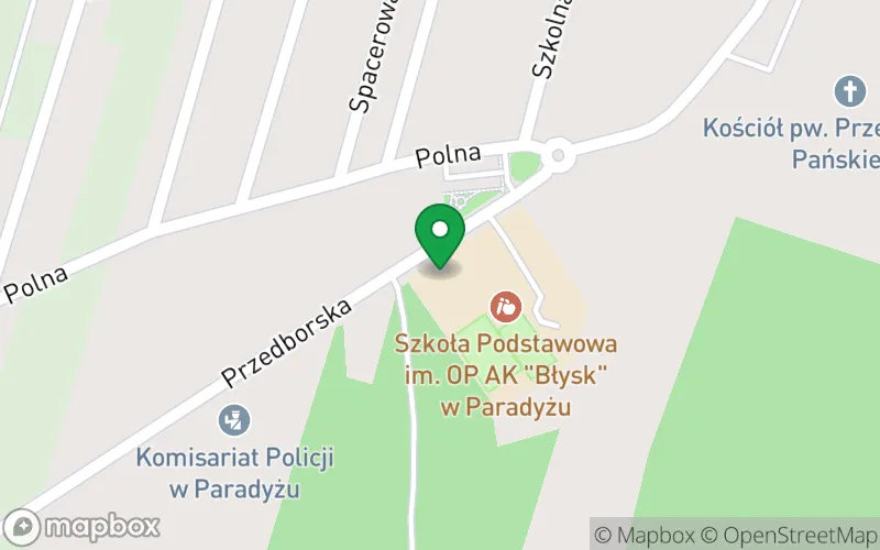 Lokalizacja: Punkt Przedszkolny "Dzieciniec"