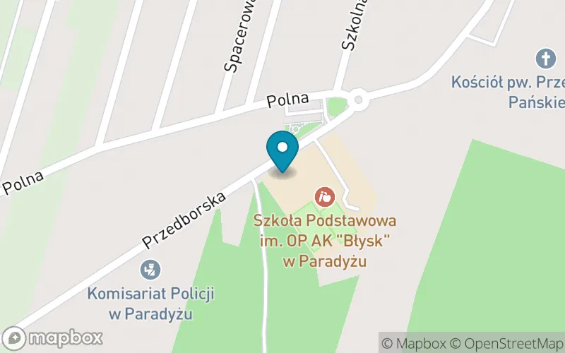 Lokalizacja: Szkoła Podstawowa im. Oddziału Partyzanckiego Armii Krajowej "Błysk" w Paradyżu