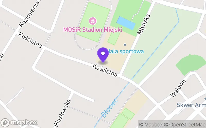 Lokalizacja: Liceum Ogólnokształcące im. Tadeusza Kościuszki w Sycowie