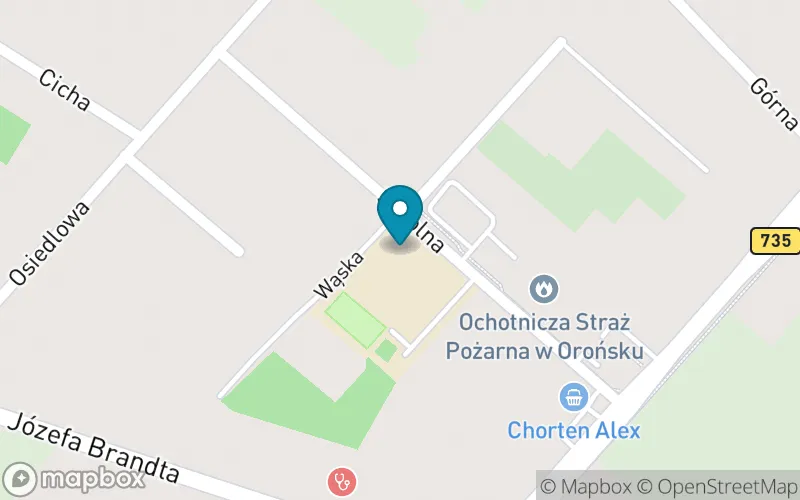 Lokalizacja: Publiczna Szkoła Podstawowa im. Józefa Brandta w Orońsku