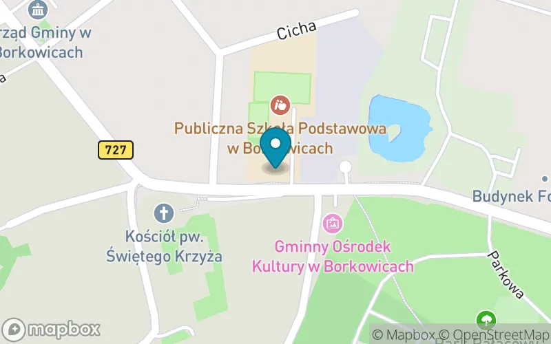 Lokalizacja: Szkoła Podstawowa w Borkowicach im. Janusza Łąckiego