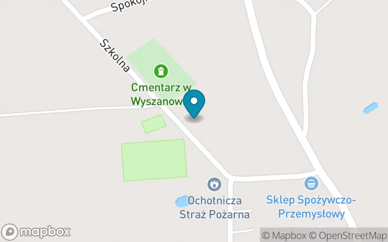 Lokalizacja: Szkoła Podstawowa w Wyszanowie