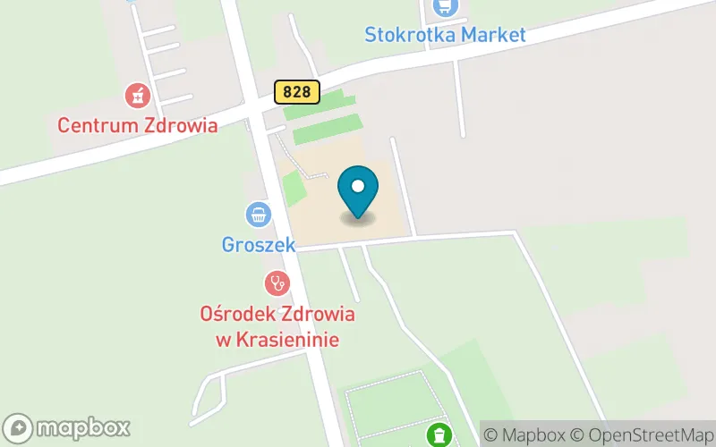 Lokalizacja: Szkoła Podstawowa im. Ireny Kosmowskiej w Krasieninie