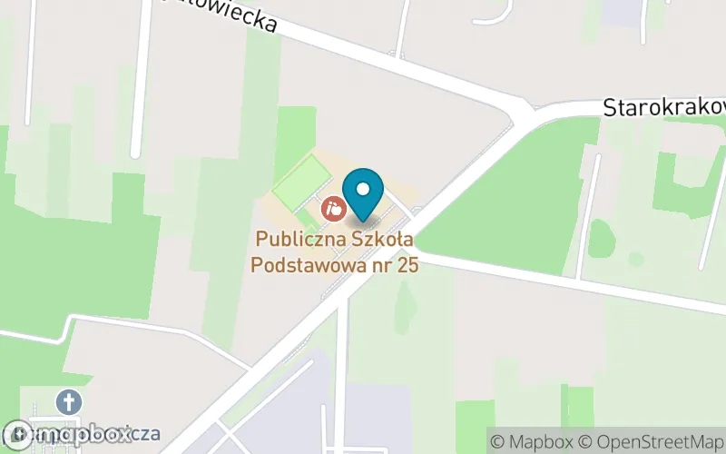 Lokalizacja: Publiczna Szkoła Podstawowa nr 25 im. Wandy Chotomskiej w Radomiu