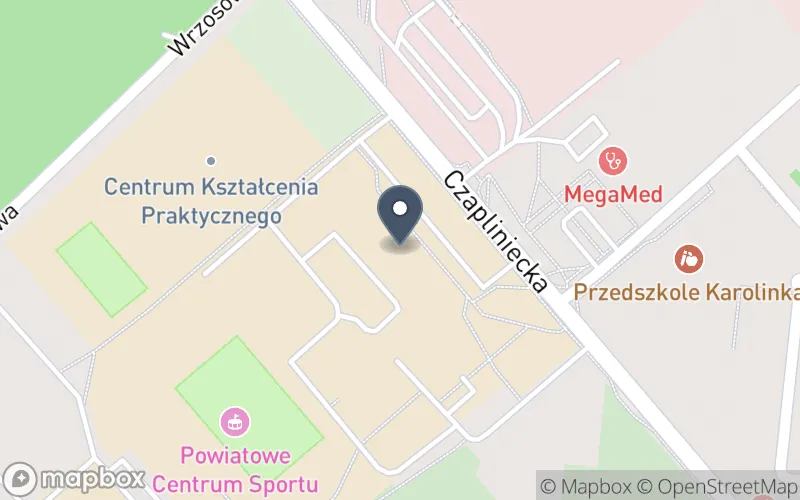 Lokalizacja: Zespół Szkół Ponadpodstawowych nr 1 im. Gen. Ludwika Czyżewskiego w Bełchatowie
