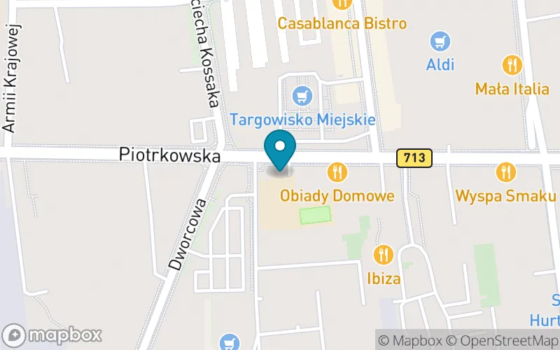 Lokalizacja: Szkoła Podstawowa Specjalna w Opocznie