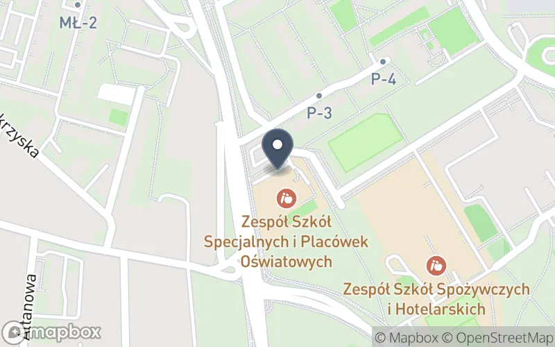 Lokalizacja: Zespół Szkół Specjalnych i Placówek Oświatowych Radomiu