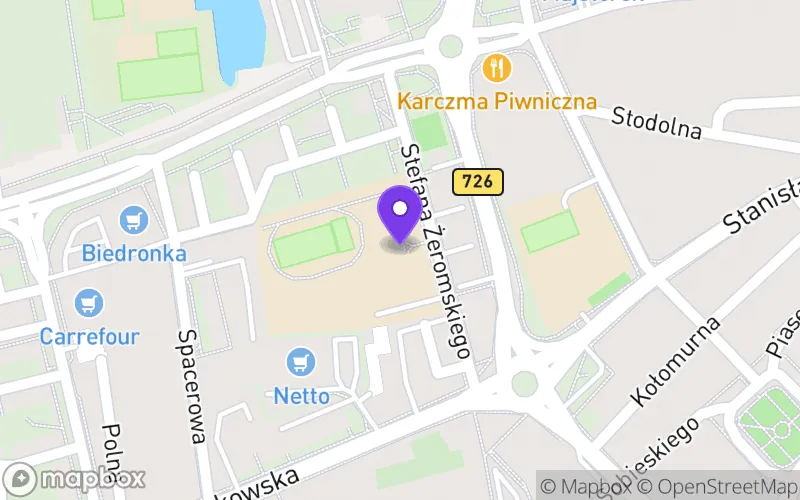 Lokalizacja: I Liceum Ogólnokształcące im. Stefana Żeromskiego w Opocznie