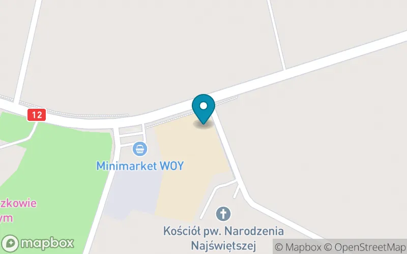 Lokalizacja: Szkoła Podstawowa im. Jana Pawła II w Mroczkowie Gościnnym