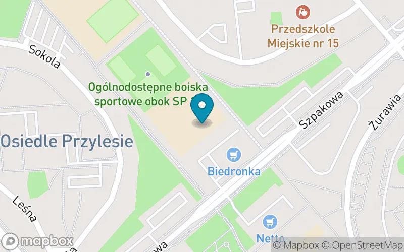 Lokalizacja: Szkoła Podstawowa nr 12 im. Czesława Niemena
