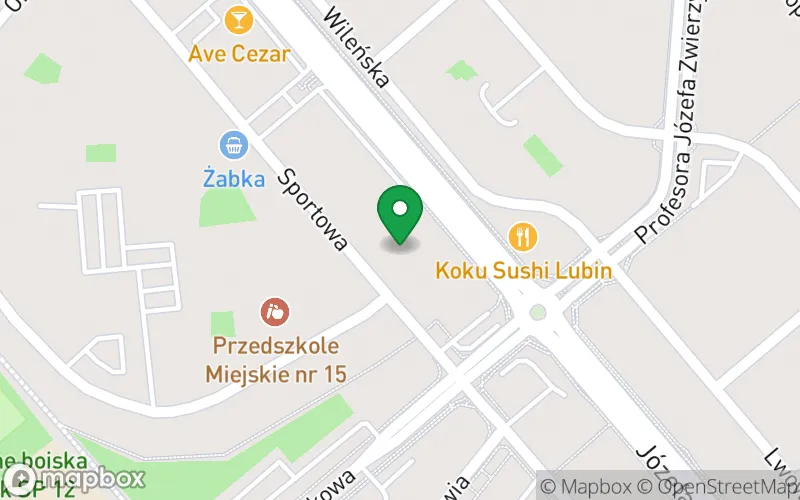 Lokalizacja: Przedszkole Zielone w Lubinie