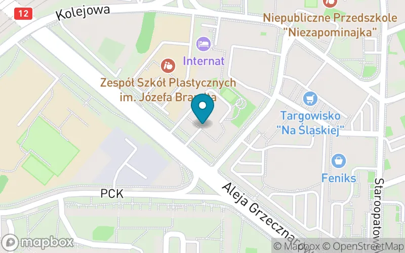 Lokalizacja: Publiczna Szkoła Przysposabiajaca do Pracy