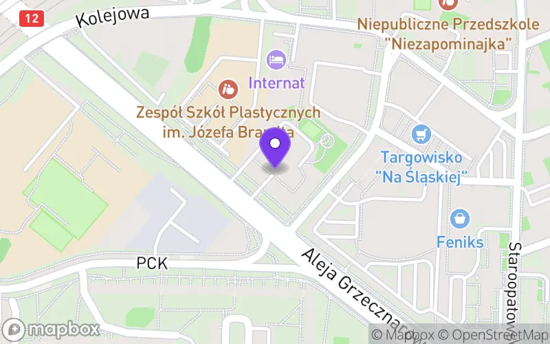 Lokalizacja: Branżowa Szkoła II Stopnia Specjalna nr 8 w Radomiu