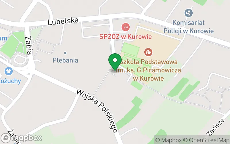 Lokalizacja: Zespół Szkolno-Przedszkolny – Gminne Przedszkole nr 1 im. Cz. Janczarskiegow Kurowie