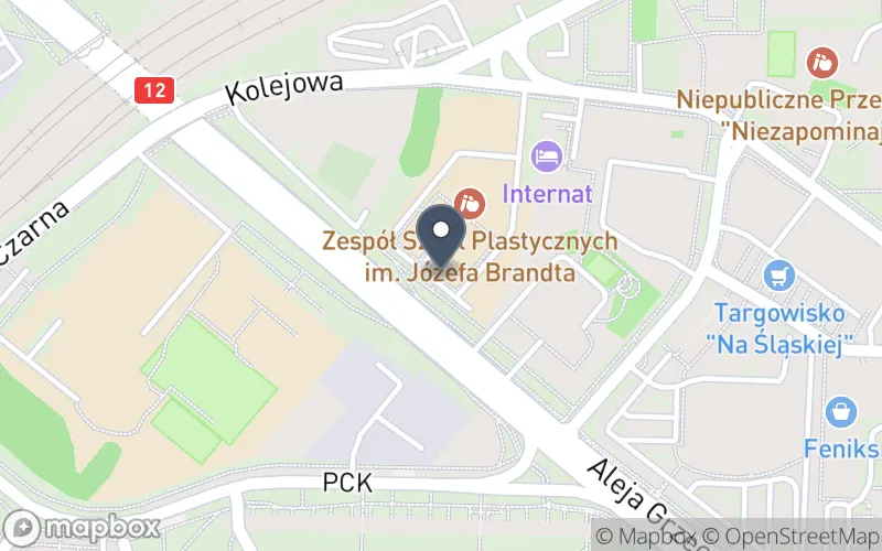 Lokalizacja: Zespół Szkół Plastycznych im. Józefa Brandta w Radomiu