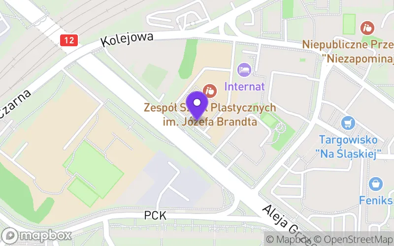 Lokalizacja: Liceum Sztuk Plastycznych w Radomiu