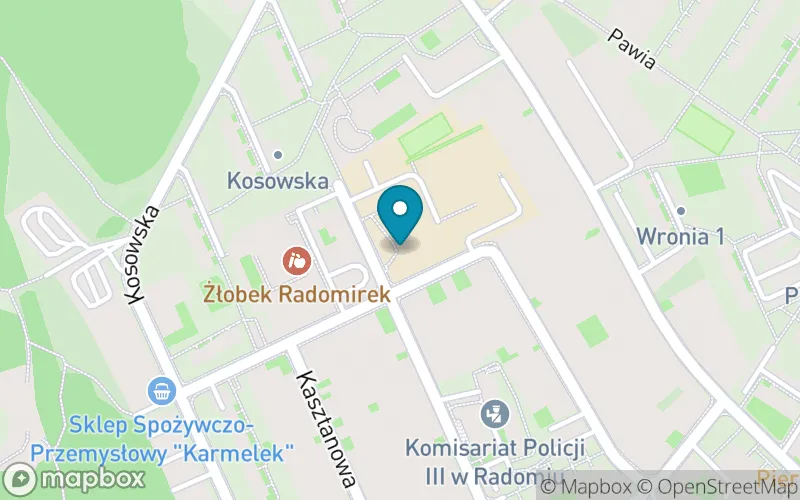 Lokalizacja: Publiczna Szkoła Podstawowa nr 2 im. Hansa Christiana Andersena w Radomiu