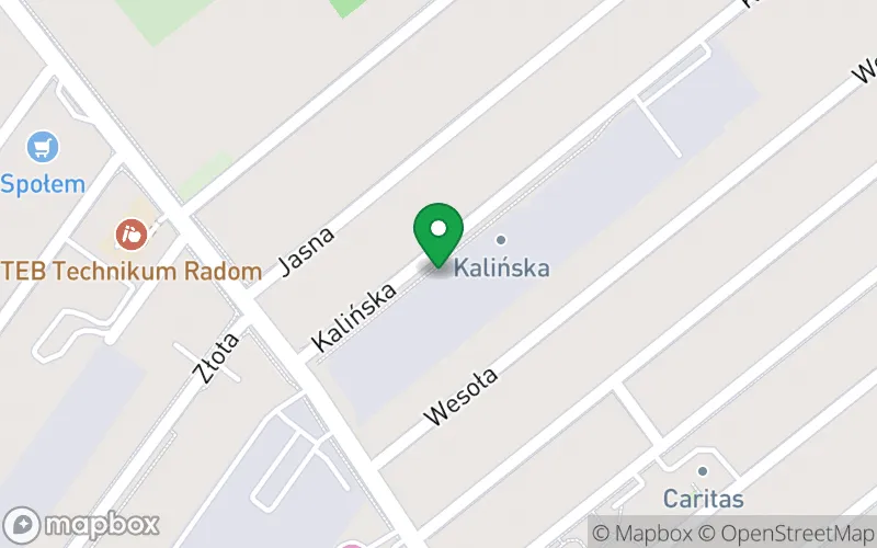 Lokalizacja: Przedszkole Publiczne nr 9 im. Ewy Szelburg-Zarembiny w Radomiu