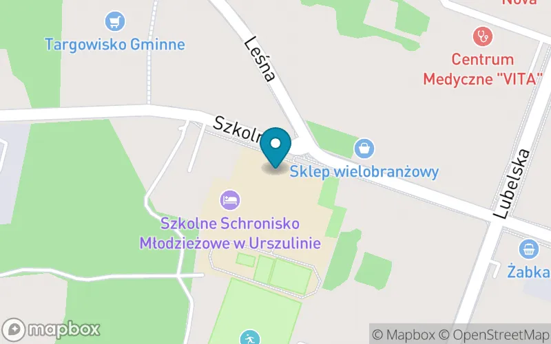 Lokalizacja: Szkoła Podstawowa im. Alfreda Lityńskiego w Urszulinie