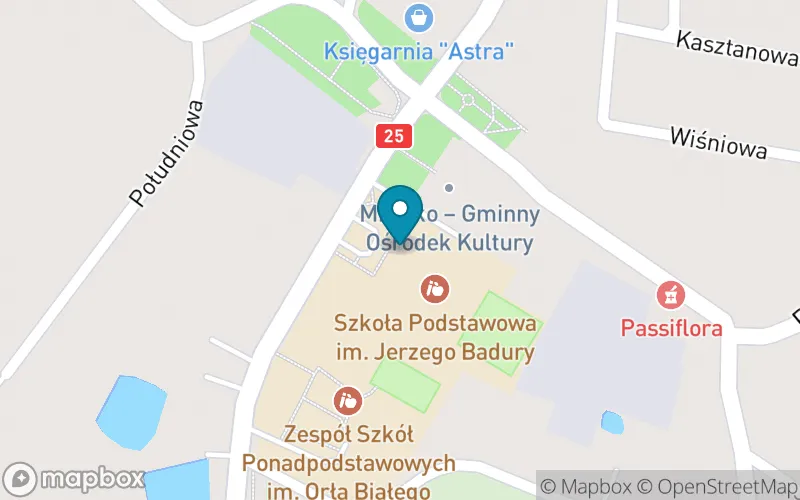 Lokalizacja: Szkoła Podstawowa im. Jerzego Badury