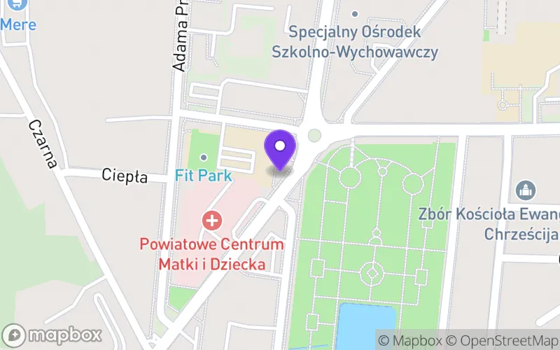 Lokalizacja: Branżowa Szkoła I Stopnia nr 1 im. Rotmistrza Witolda Pileckiego w Zespole Szkół Ponadpodstawowych nr 1 w Piotrkowie Trybunalskim