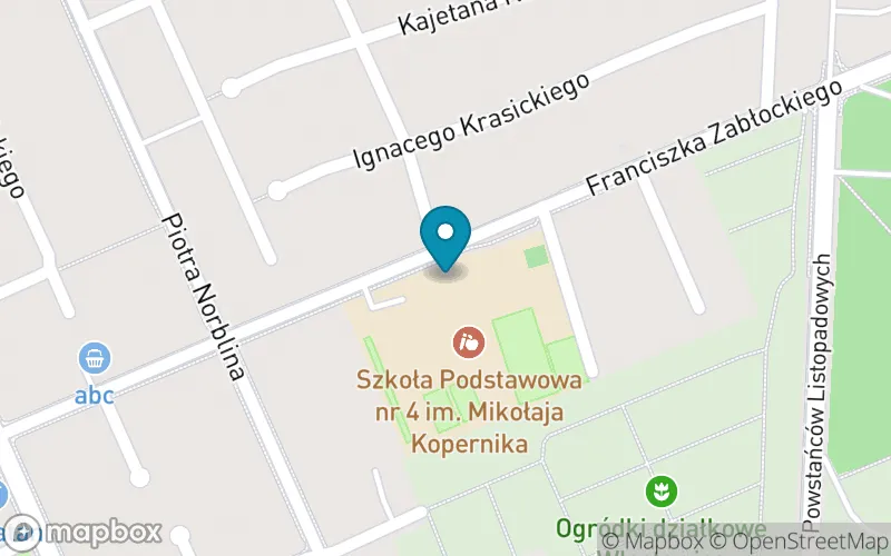 Lokalizacja: Szkoła Podstawowa nr 4 im. Mikołaja Kopernika w Puławach