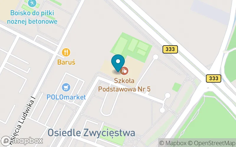 Lokalizacja: Szkoła Podstawowa nr 5