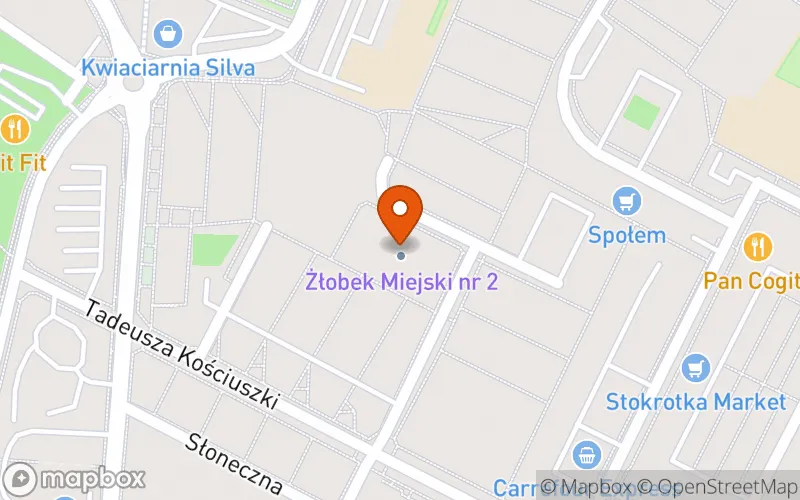 Lokalizacja: Żłobek nr 2