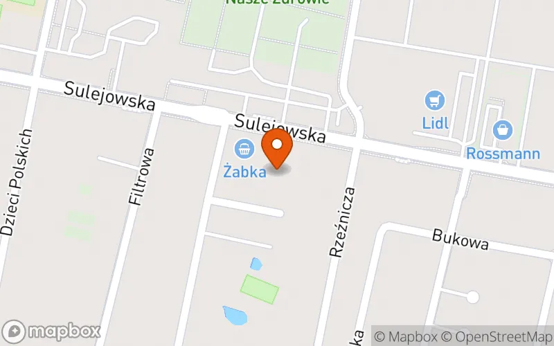 Lokalizacja: Radosne Brzdące