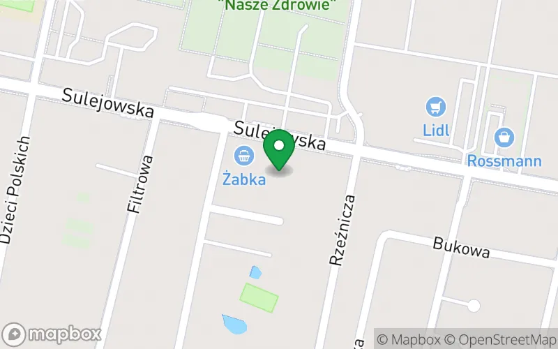 Lokalizacja: Przedszkole "Radosne Brzdące" w Piotrkowie Trybunalskim