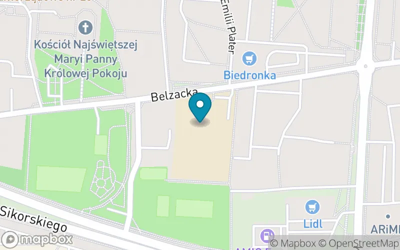 Lokalizacja: Szkoła Podstawowa nr 12 im. Kornela Makuszyńskiego w Piotrkowie Trybunalskim