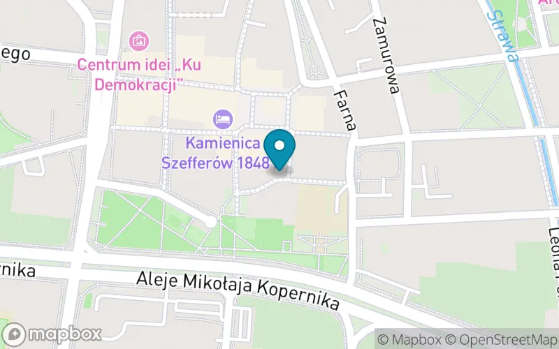 Lokalizacja: Prywatna Szkoła Podstawowa Villa Bambini nr 2 w Piotrkowie Trybunalskim