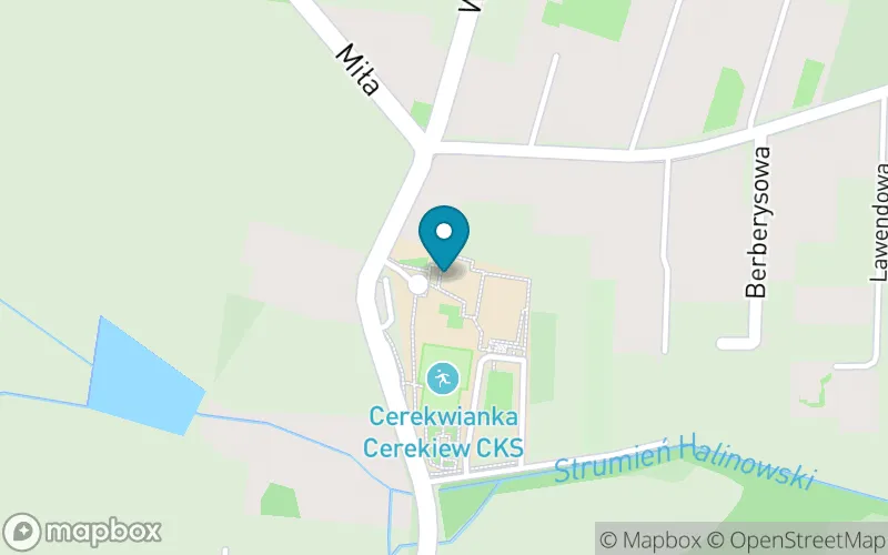 Lokalizacja: Publiczna Szkoła Podstawowa im. Marszałka Józefa Piłsudskiego w Cerekwi