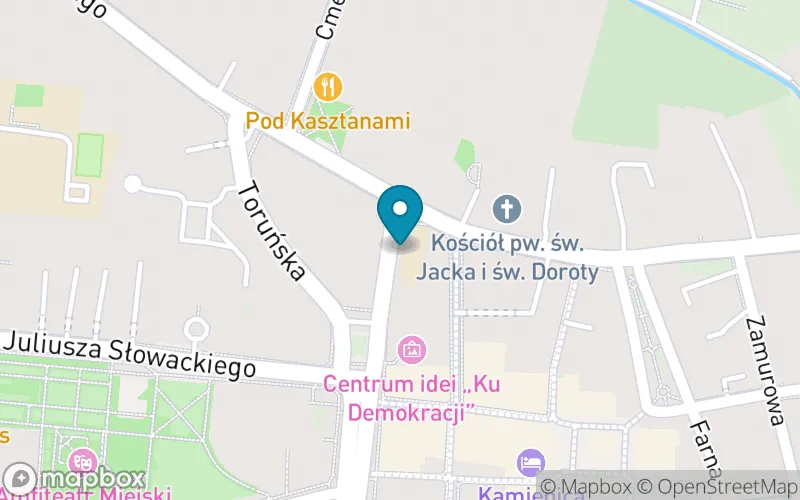Lokalizacja: Katolicka Szkoła Podstawowa Sióstr Dominikanek im. Bł. S. Julii Rodzińskiej w Piotrkowie Trybunalskim