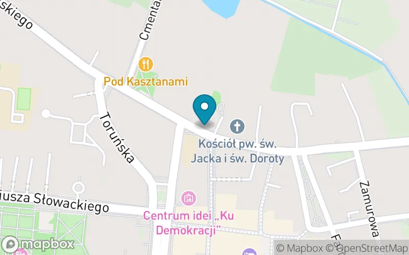 Lokalizacja: Prywatna Szkoła Podstawowa Villa Bambini nr 1 w Piotrkowie Trybunalskim