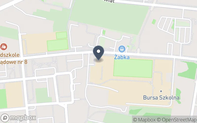 Lokalizacja: Zespół Szkół Ponadpodstawowych i Placówek Opiekuńczo-Wychowawczych nr 3 im. Władysława Reymonta w Piotrkowie Trybunalskim