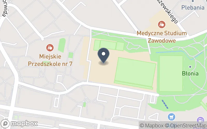 Lokalizacja: Zespół Szkół Ogólnokształcących nr 1 im. Komisji Edukacji Narodowej w Puławach