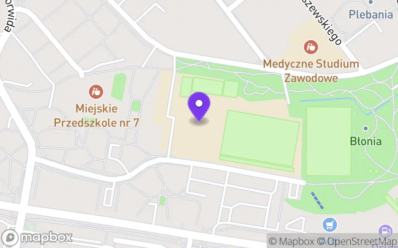 Lokalizacja: II Liceum Ogólnokształcące w Puławach