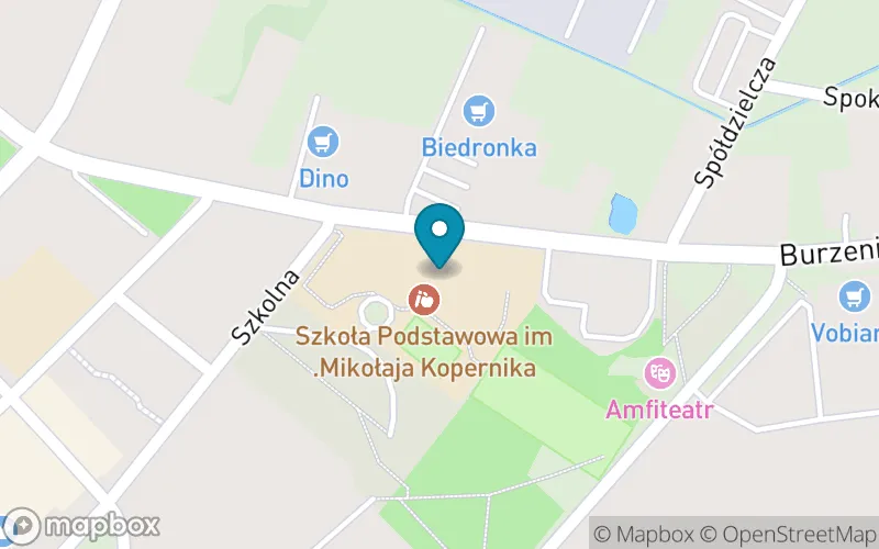 Lokalizacja: Szkoła Podstawowa im. M. Kopernika w Złoczewie