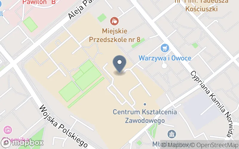 Lokalizacja: Centrum Kształcenia Ustawicznego w Puławach