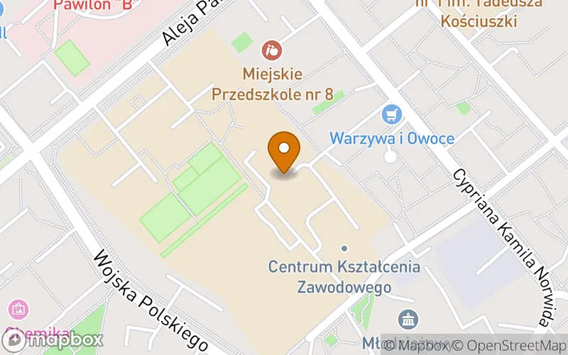 Lokalizacja: Szkoła Policealna nr 5 w Puławach w Centrum Kształcenia Ustawicznego w Puławach