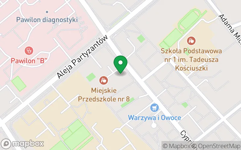 Lokalizacja: Miejskie Przedszkole nr 8 w Puławach