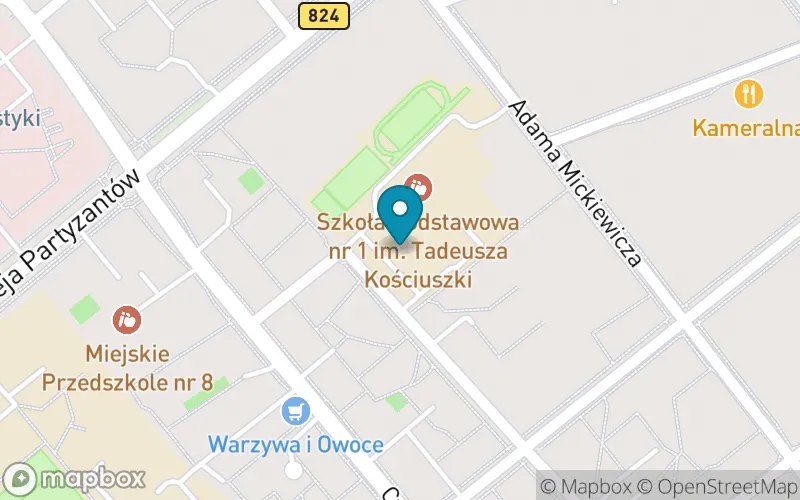 Lokalizacja: Szkoła Podstawowa nr 1 im. Tadeusza Kościuszki w Puławach