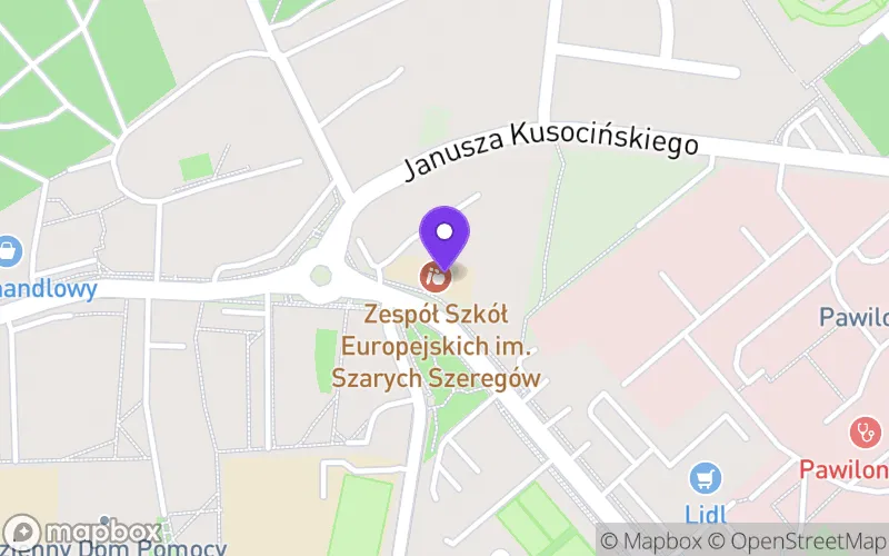 Lokalizacja: Europejskie Liceum Ogólnokształcące w Puławach