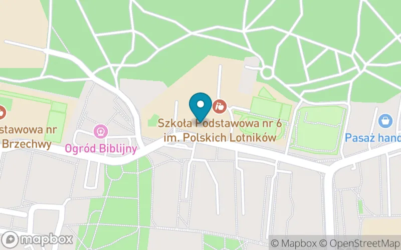 Lokalizacja: Szkoła Podstawowa nr 6 im. Polskich Lotników w Puławach