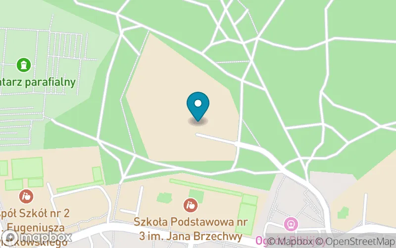 Lokalizacja: Niepubliczna Szkoła Specjalna Przysposabiająca do Pracy w Puławach
