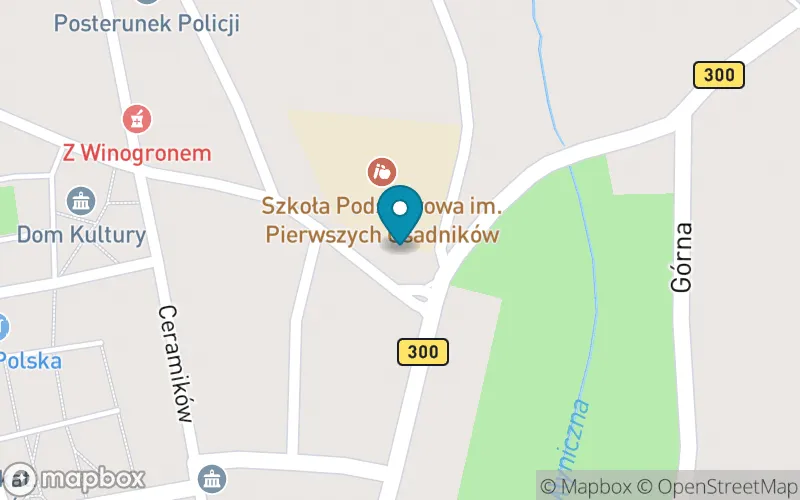 Lokalizacja: Szkoła Podstawowa im. Pierwszych Osadników w Gozdnicy